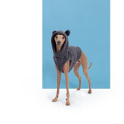italian greyhound teddy vest