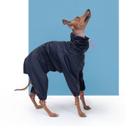 italian greyhound raincoat