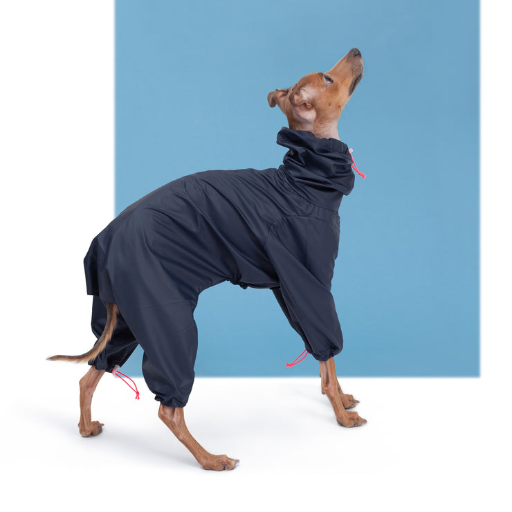italian greyhound waterproof raincoat