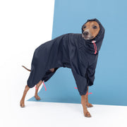 italian greyhound windproof rainproof raincoat