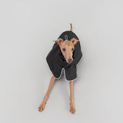 italian greyhound raincoat with reflective details