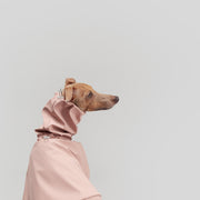  italian greyhound raincoat pink with reflective details