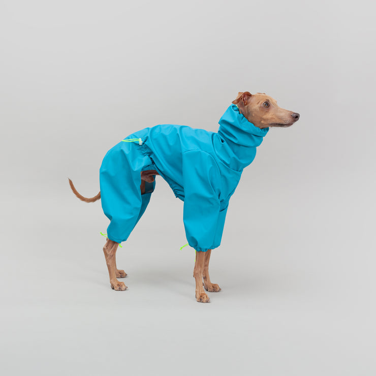 italian greyhound winter clothes waterproof outfit
