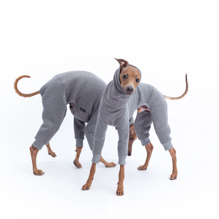 warm minimalistic italian greyhound clothing