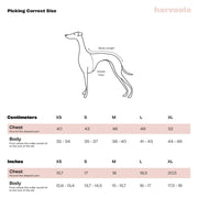 Italian greyhound size chart