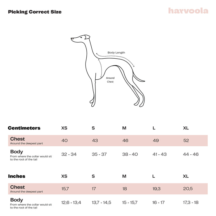 harvoola size chart italian greyhound