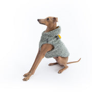 italian greyhound teddy vest 