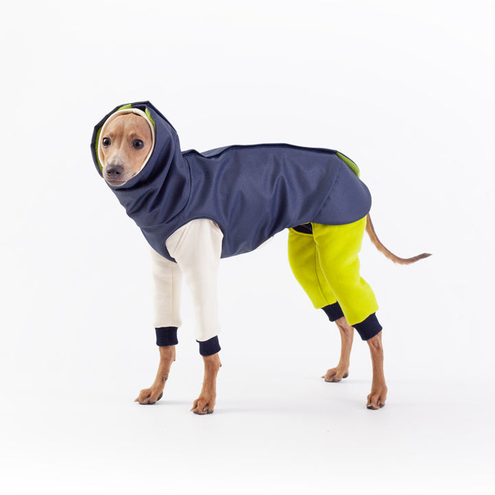 high quality italian greyhound winter coat full outfit with onesie