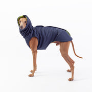 italian greyhound winter coat navy and green, lined with fleece, waterproof and windproof material