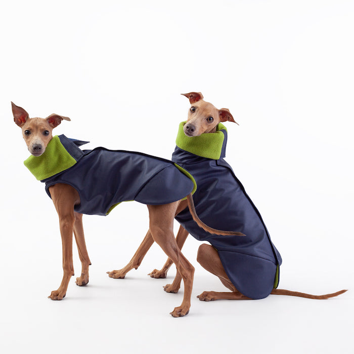 italian greyhound warm coat navy and green, lined with fleece, waterproof and windproof material