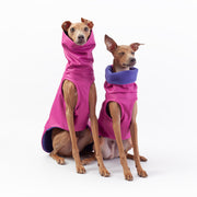 italian greyhound winter coat in pink lovely cute design